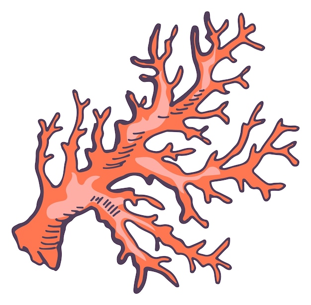 Эскиз красного коралла Символ подводной фауны Риф