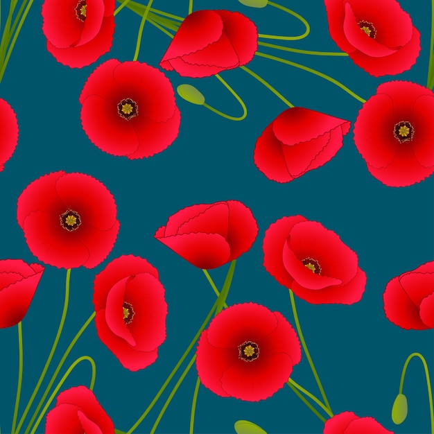 Red corn poppy on indigo blue background.