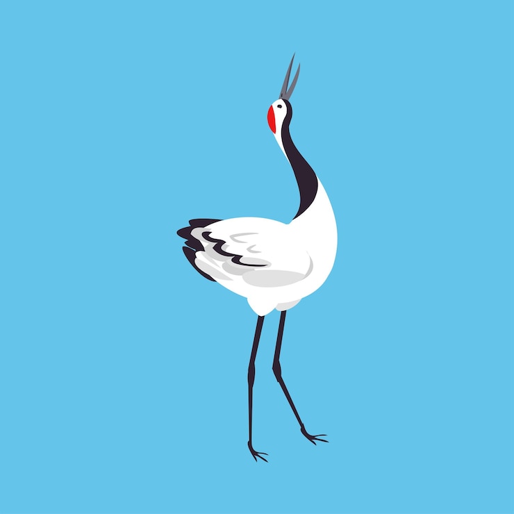 Vector red crowned crane as longlegged and longnecked bird walking on blue background vector illustration