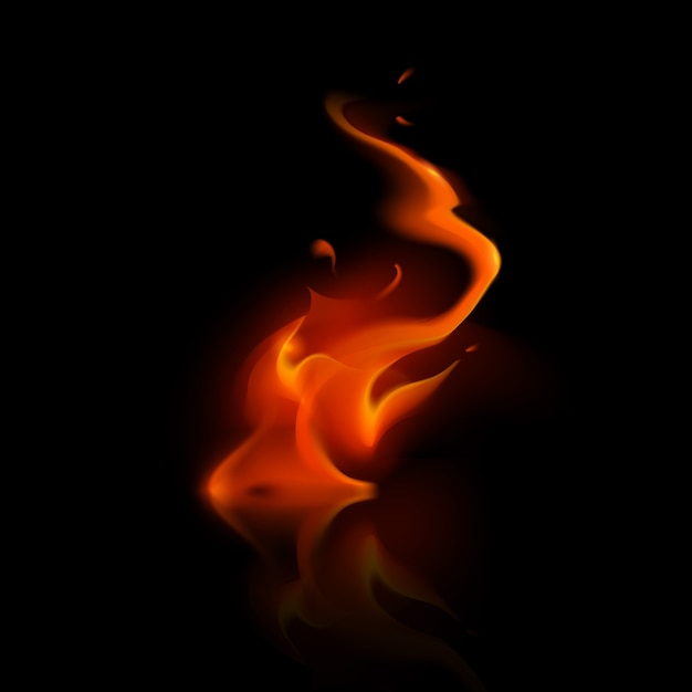 Vector red fire flame bonfire on background