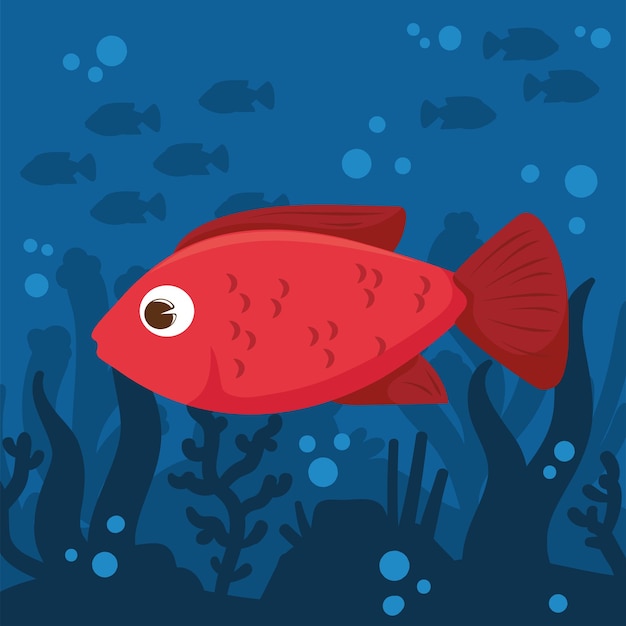 Pesce rosso sott'acqua