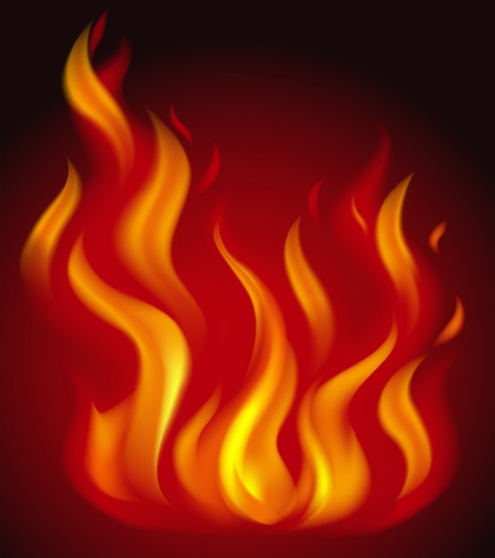 Red flames burning on dark background