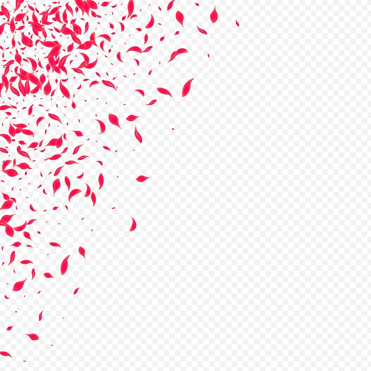 Vector red floral vector transparent background fall