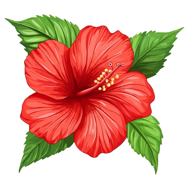 紅色花與綠色葉 矢量花片段
