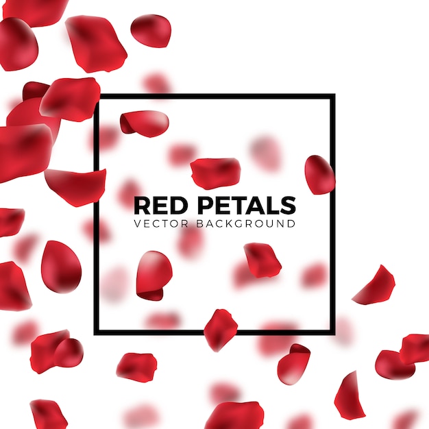 Vector red flying rose petals background