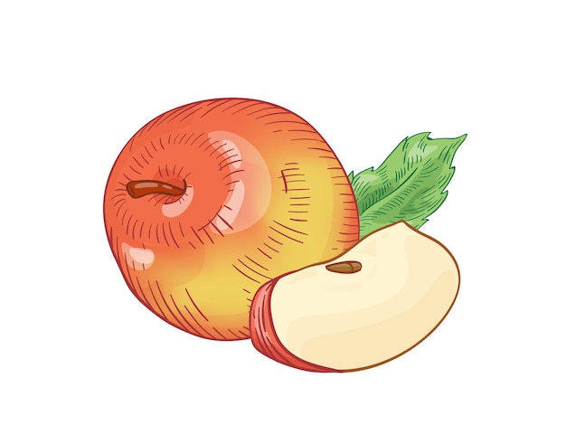 Illustrazione disegnata a mano di vettore della mela fresca rossa. tutta la frutta cruda con foglia isolata su sfondo bianco. alimentazione sana, prodotto biologico. fetta di mela matura con elemento di design del seme.