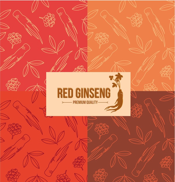 Vector red ginseng logo and pattern design