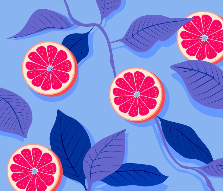 Vector red grapefruit with leaves