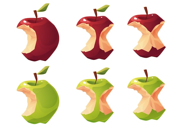 Vector red and green apple core set cartoon vector illustration