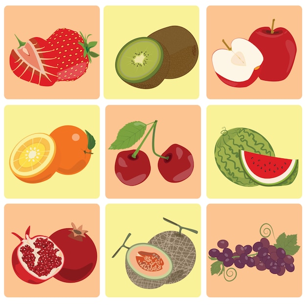 Vector red green fresh fruit icon