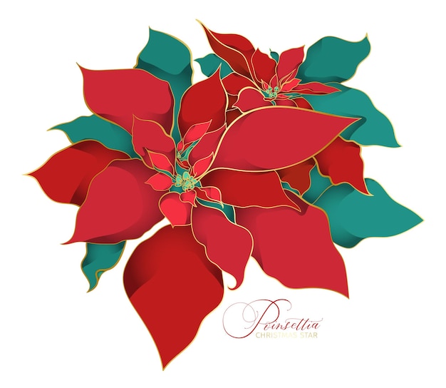 Red green poinsettia branch with two flowers in an asian decorative style