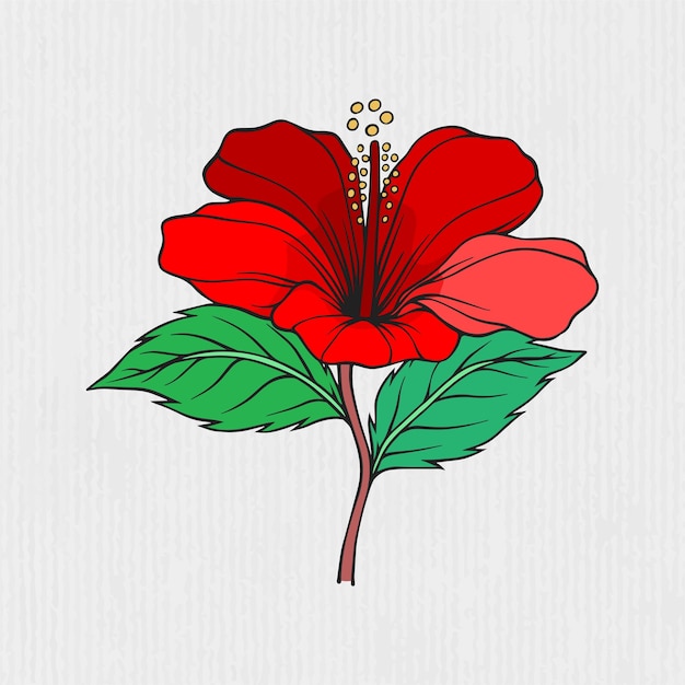 Red hibiscus flower design illustration