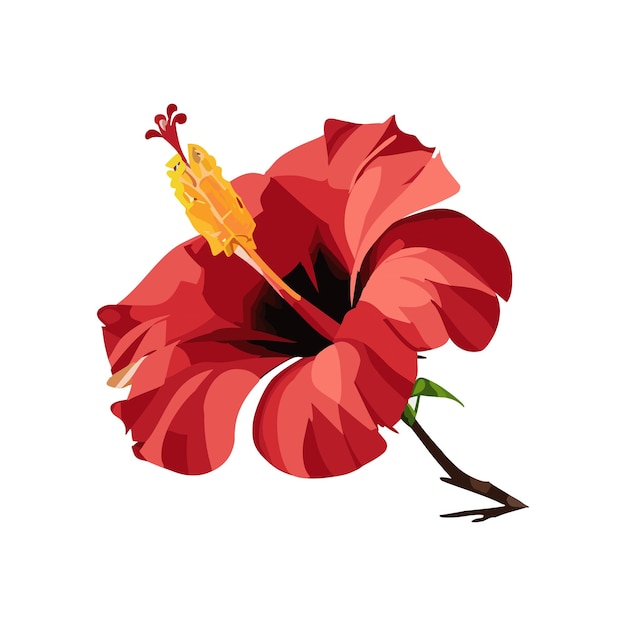 red hibiscus flower tropical plant vector illustration on a white background