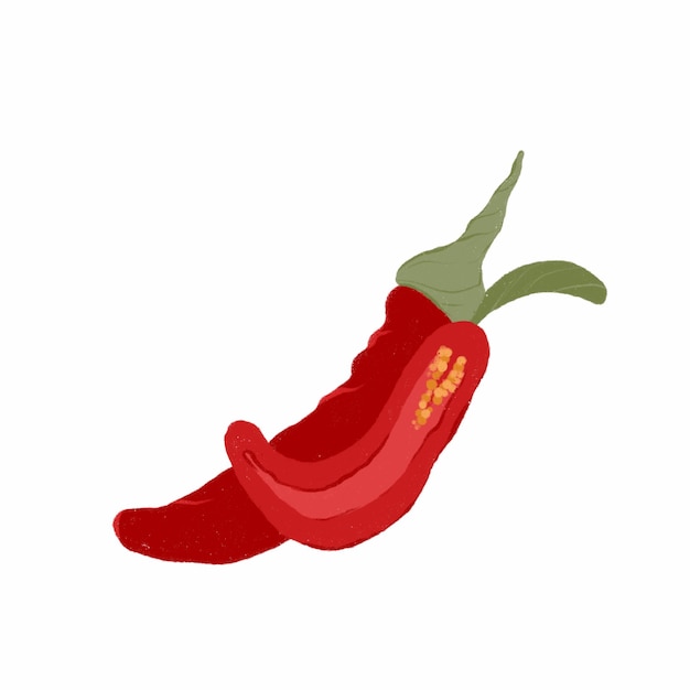 Red hot chili peper met de hand getekend