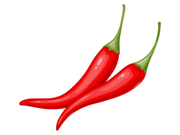 Vector red hot chili pepper mexican traditional food