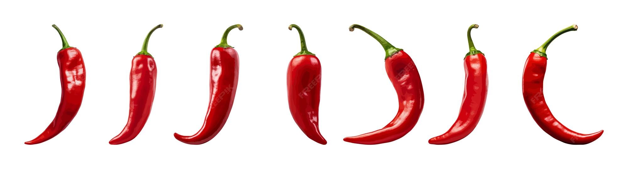 Premium Vector | Red hot chili vector set isolated on white background