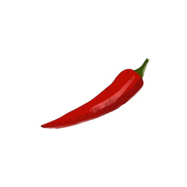 Vector red hot pepper illustration