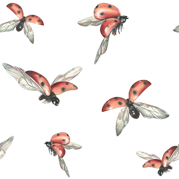 Red ladybugs with black dots flying Hand drawn watercolor illustration Simple seamless pattern on a white background