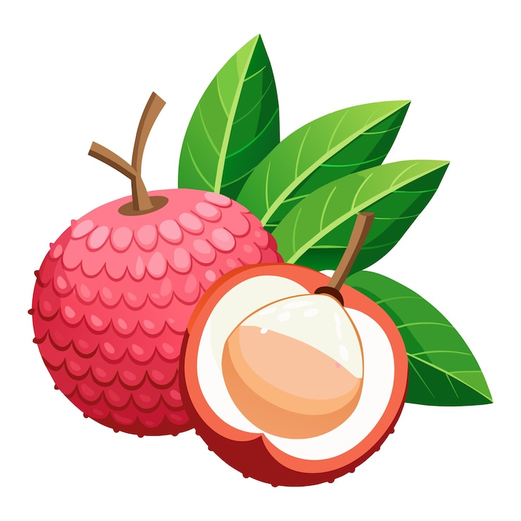 Vector red lychee fruit with green leaves