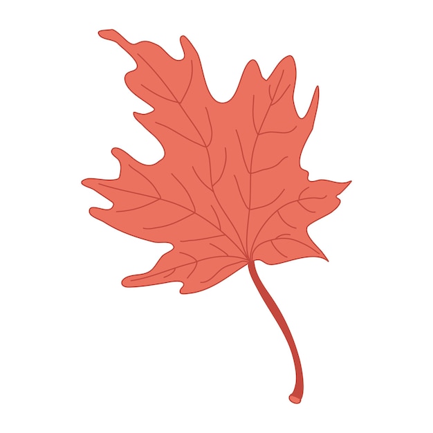 Red maple leaf hand drawn color doodle illustration