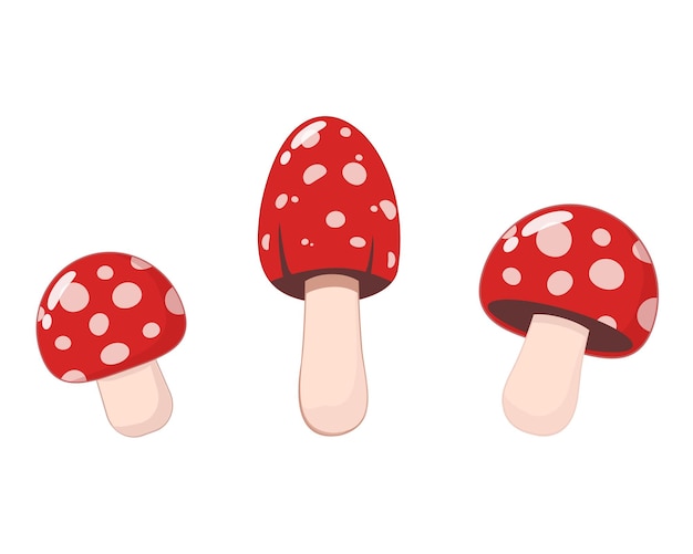 Red mushrooms with white spots cartoon style cute mushroom illustration