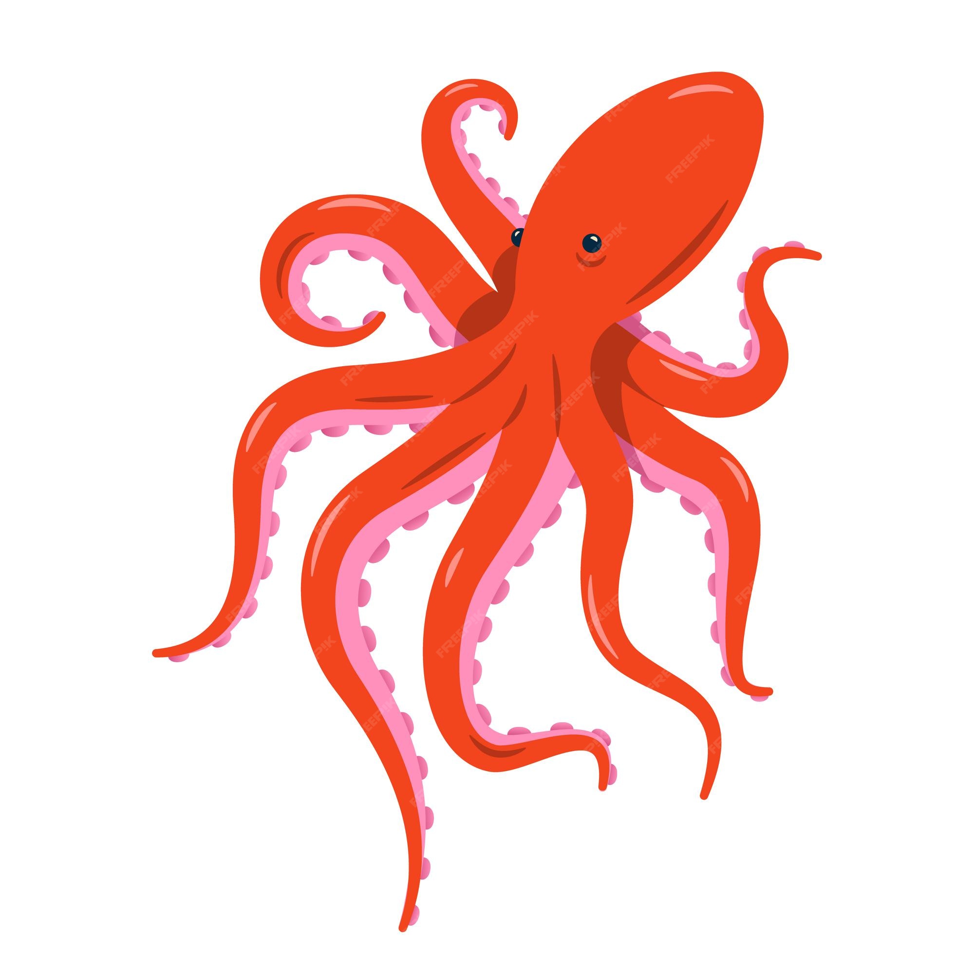 Premium Vector | Red octopus isolated