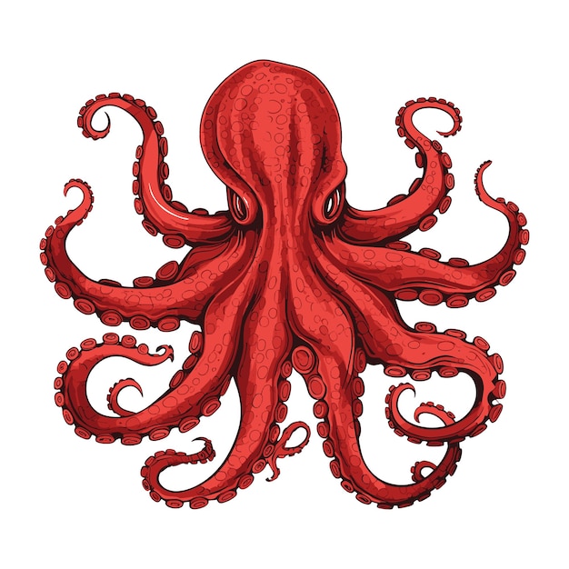 red octopus vector illustration for shirt