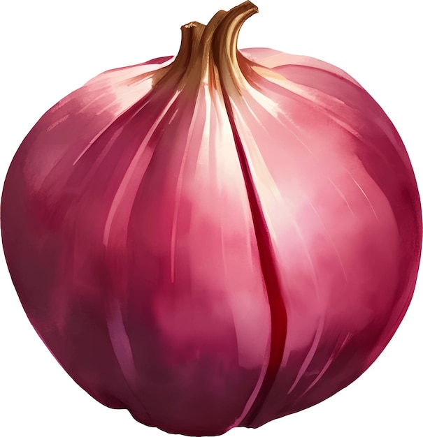 Red Onion Detailed Hand Drawn Illustration Vector Isolated