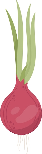 Vector red onion on stem