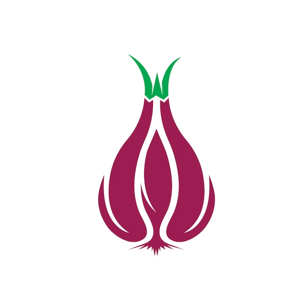 Red onion vector icon illustration design template