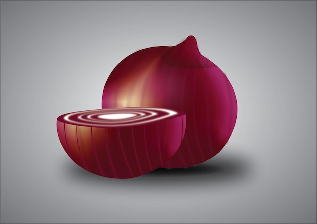 Vector red onion vector illustration with half a piece of onion