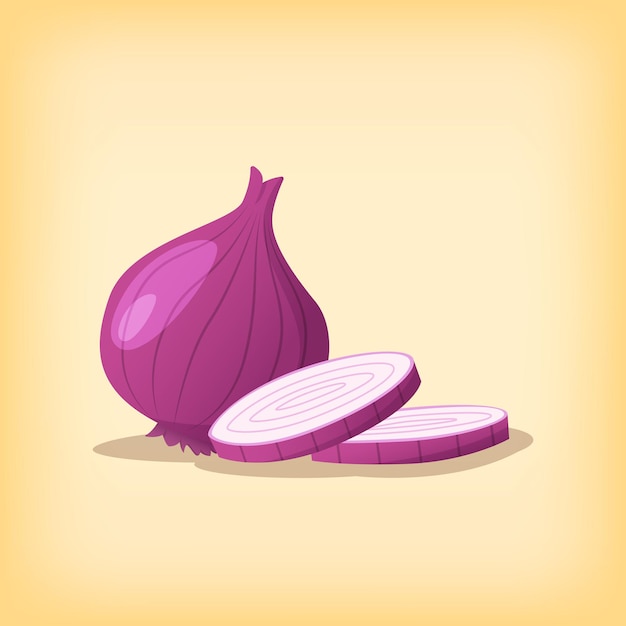 Vector red onion vegetable  illustration