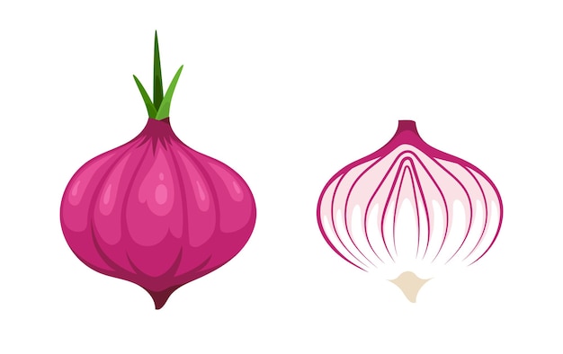 Red Onion Vegetable Vector Art Illustration