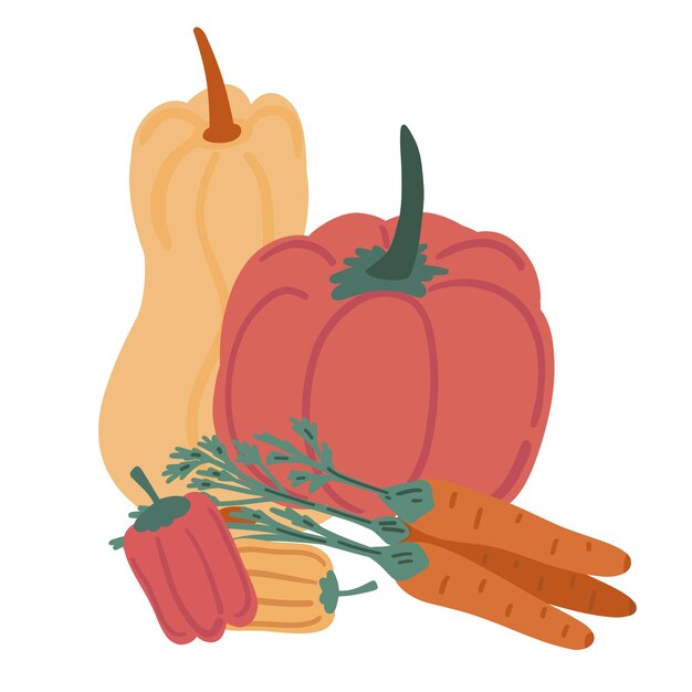 Vector red orange harvesting pumpkin carrots paprika flat design set on white background