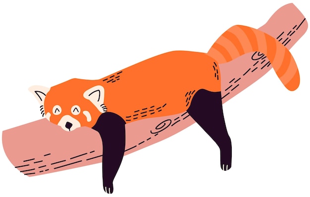 Vector a red panda is lying on its back.