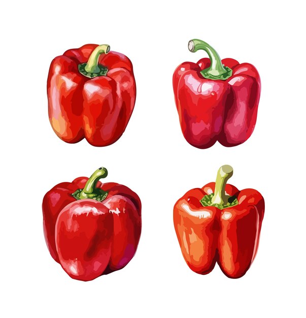 Red pepper clipart isolated vector illustration