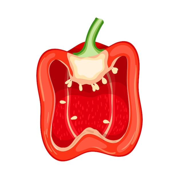 Векторная иллюстрация ломтика красного перца