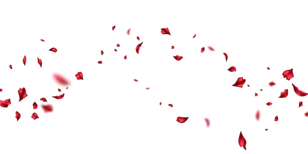 Vector red petal design background blowing in the wind beautiful vector illustration