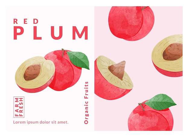 Шаблоны дизайна упаковки Red Plum в стиле акварели векторная иллюстрация