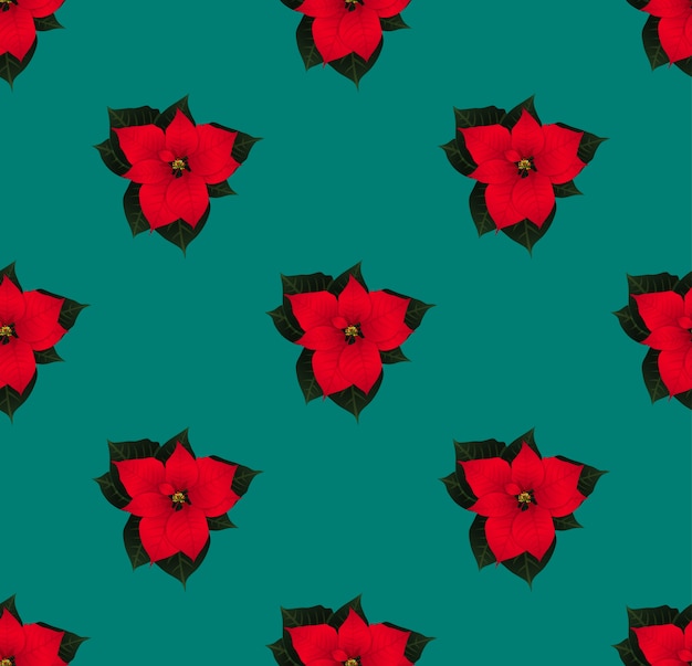 Poinsettia rosso senza cuciture su green teal background