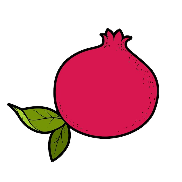 Red pomegranate color variation for coloring page isolated on white background