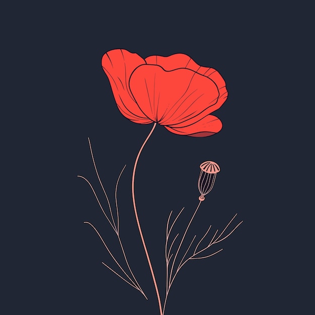 Vector red poppies flowers eps 10 vector illustrationv