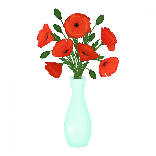 Red poppies in a vase. flowers on a white background. illustration.