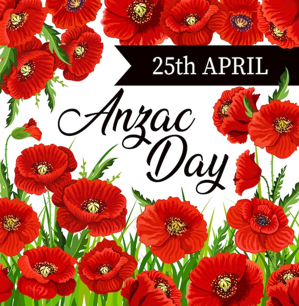 Anzac Day의 붉은 양귀비 꽃