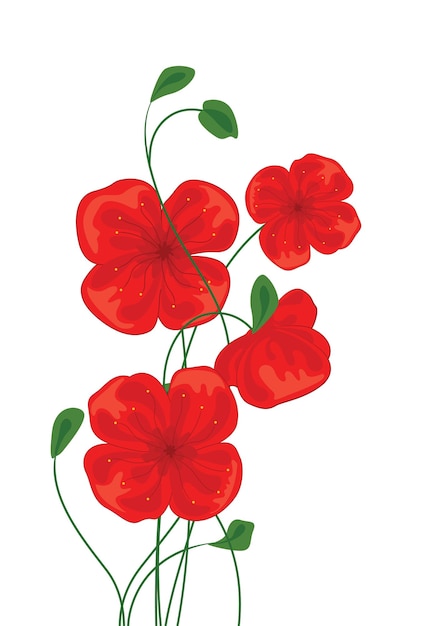 Red Poppy Flowers Vector Illustration