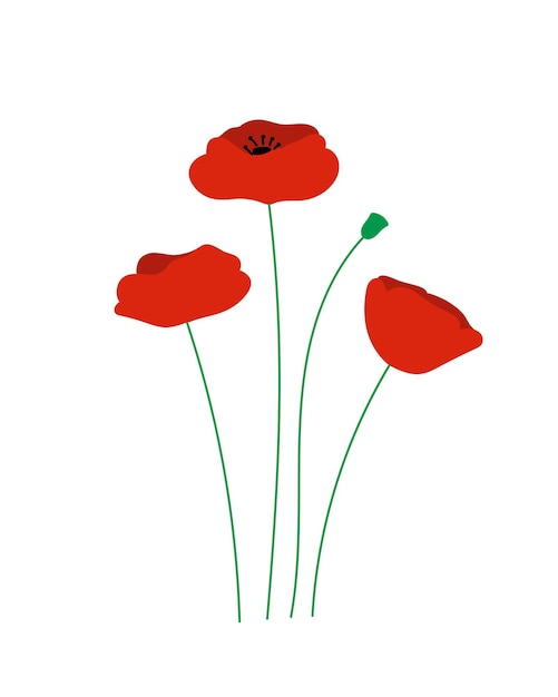 Red poppy meadow flowers Flat vector illustration