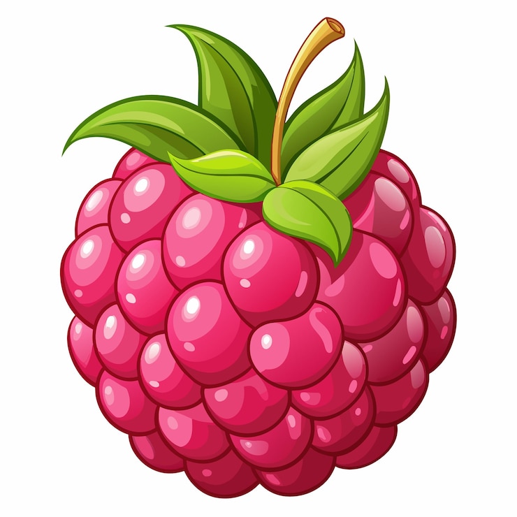 Vector a red raspberry vector illustration