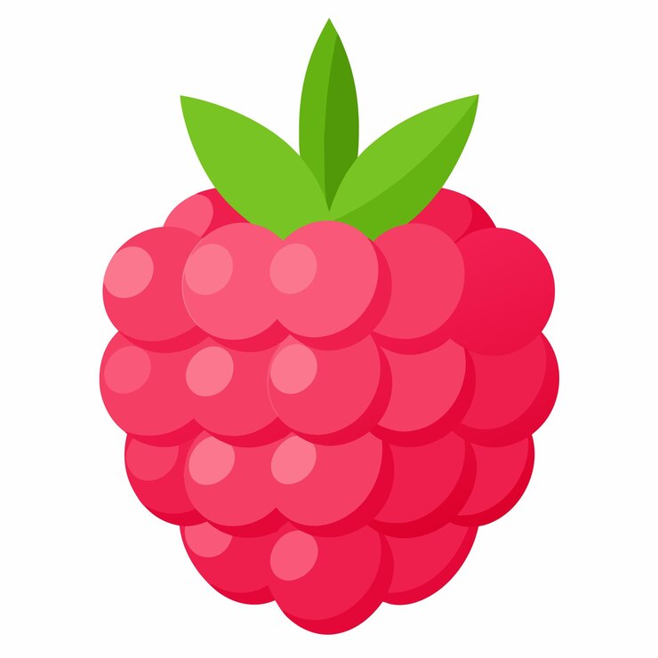 Vector a red raspberry vector illustration