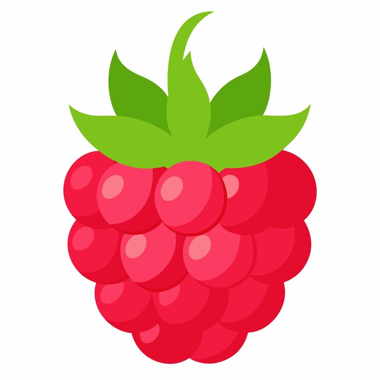 Vector a red raspberry vector illustration