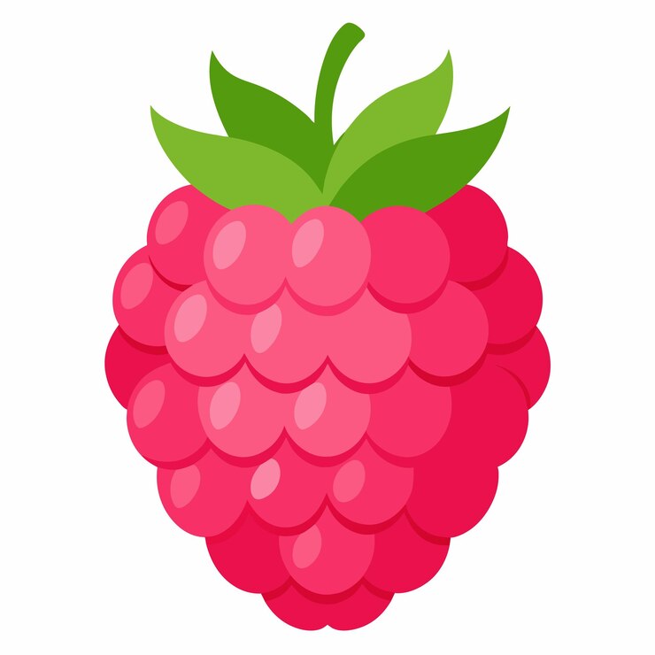 Vector a red raspberry vector illustration